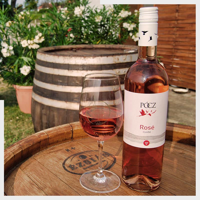 A Rosé bor készítése